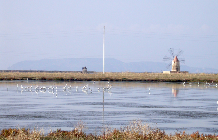 trapani-6.1